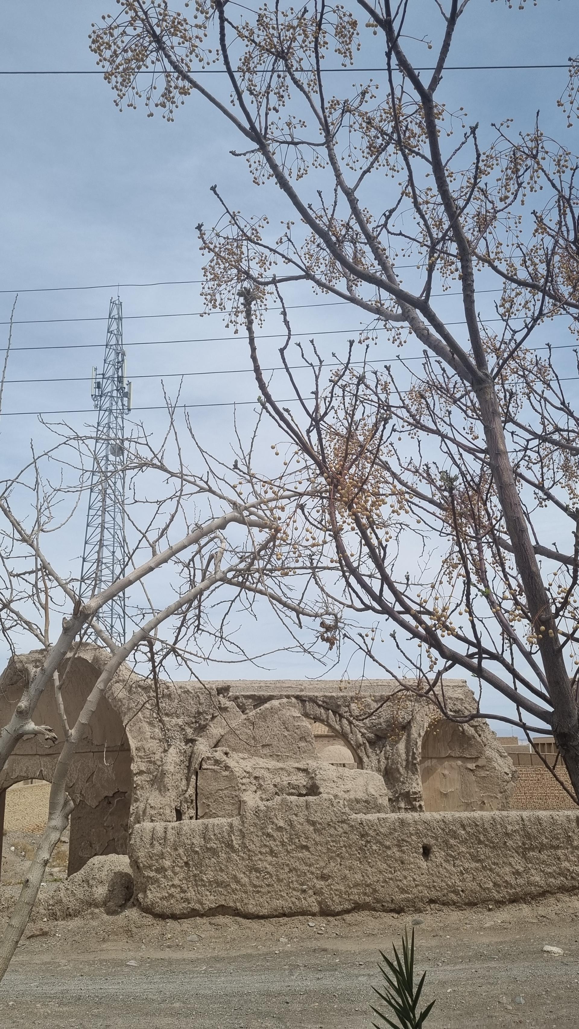 عکس کارخانه قدیمی پنبه