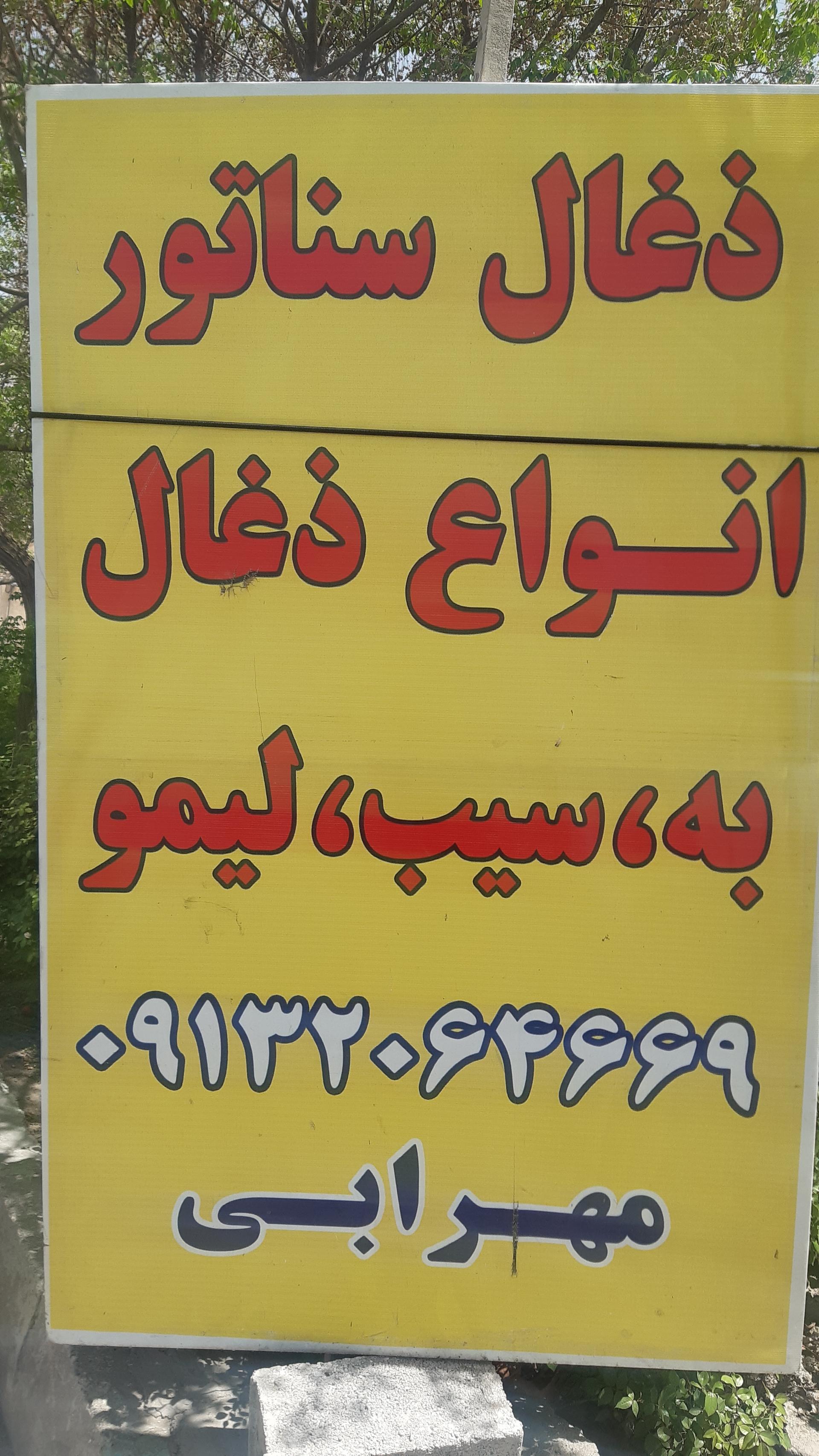 عکس ذغال سناتور