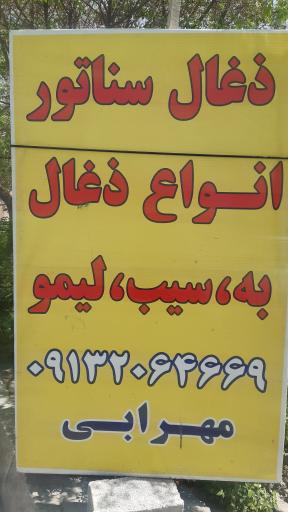 عکس ذغال سناتور