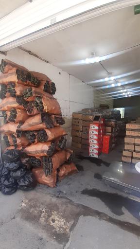 عکس ذغال سناتور