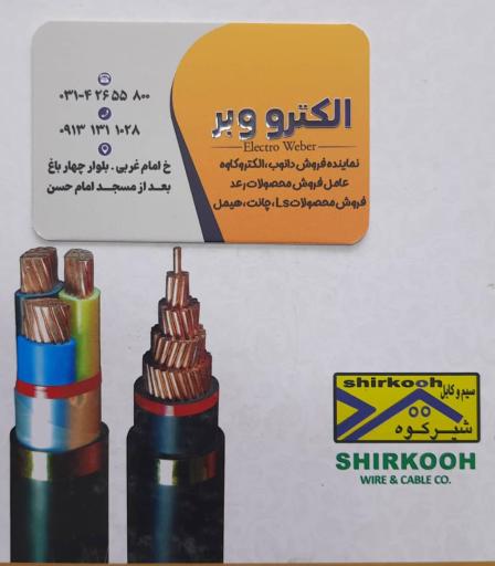 عکس الکترو وبر