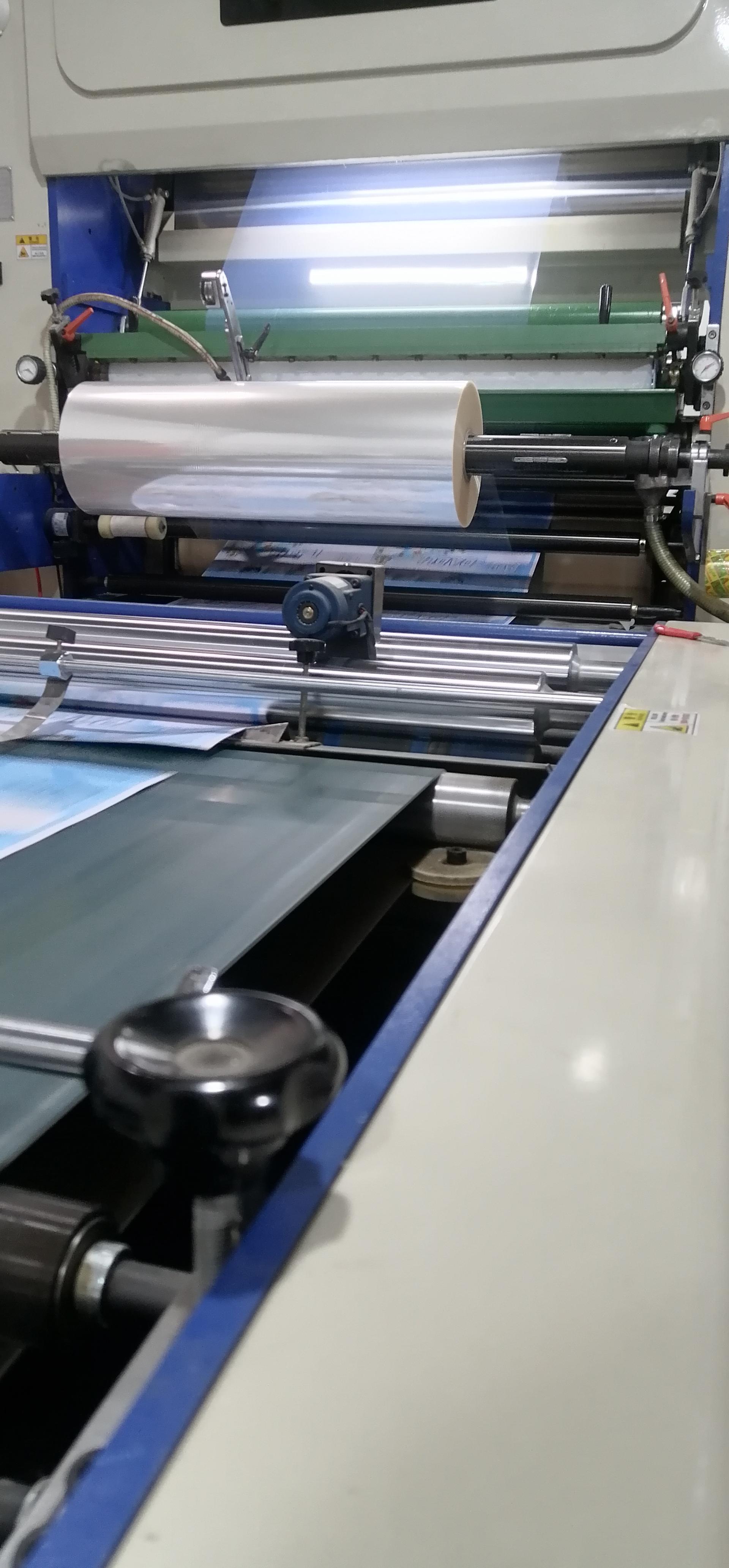 عکس سلفون کشی سورین