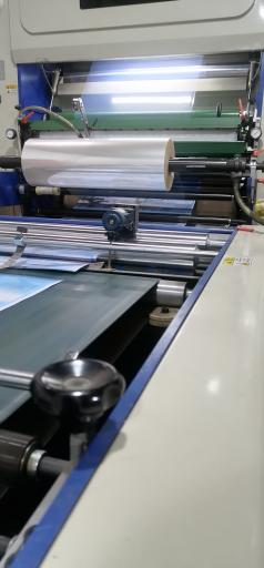 عکس سلفون کشی سورین