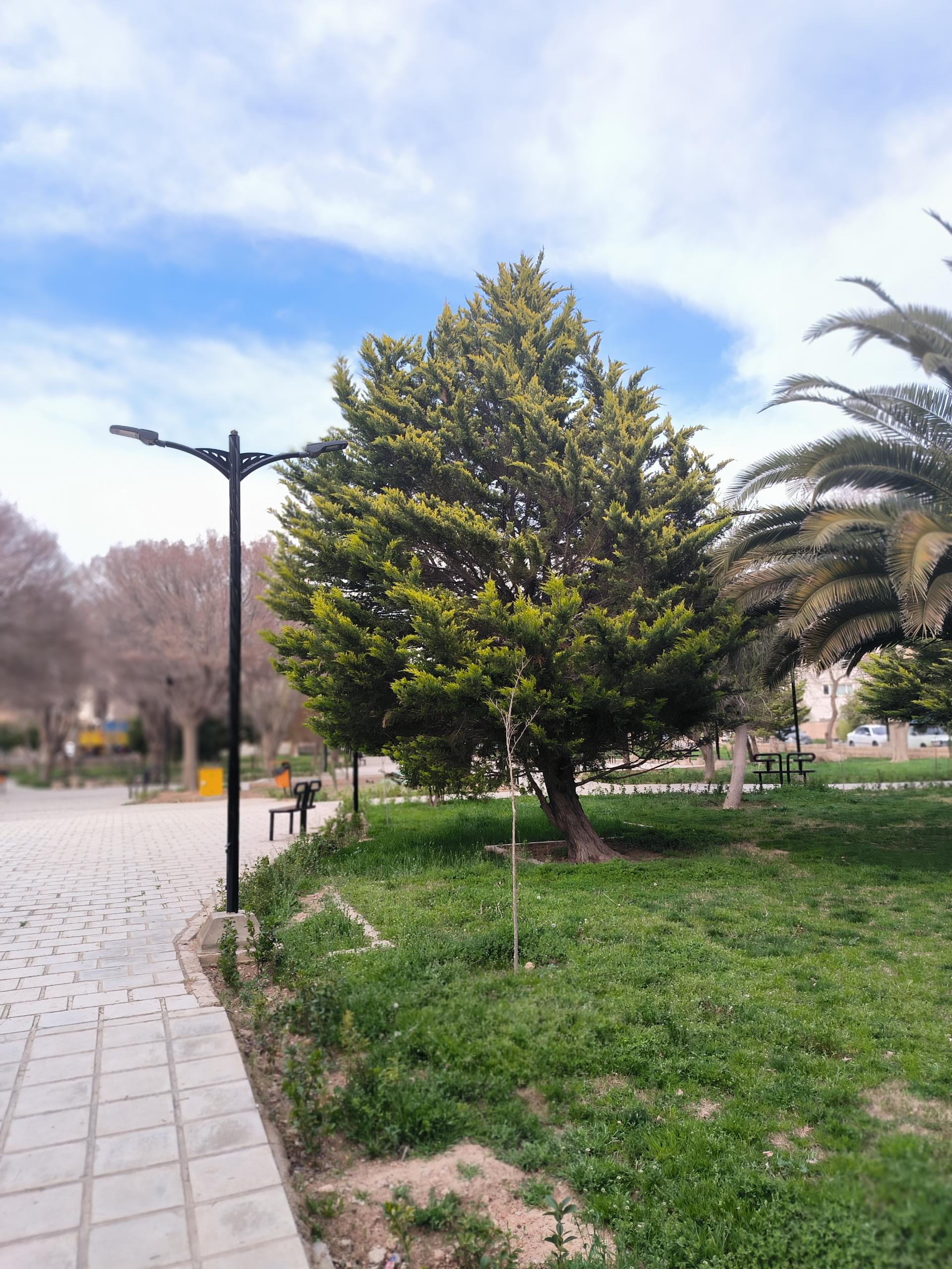 عکس بوستان صاحب الامر