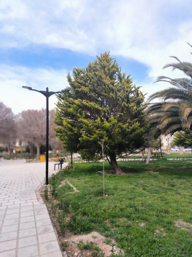 عکس بوستان صاحب الامر