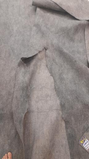 عکس قالیشویی امیرکبیر