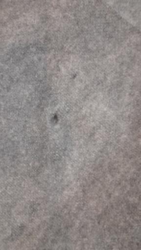 عکس قالیشویی امیرکبیر