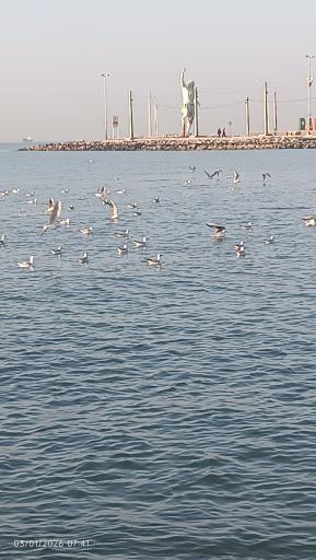 ساحل خلیج فارس