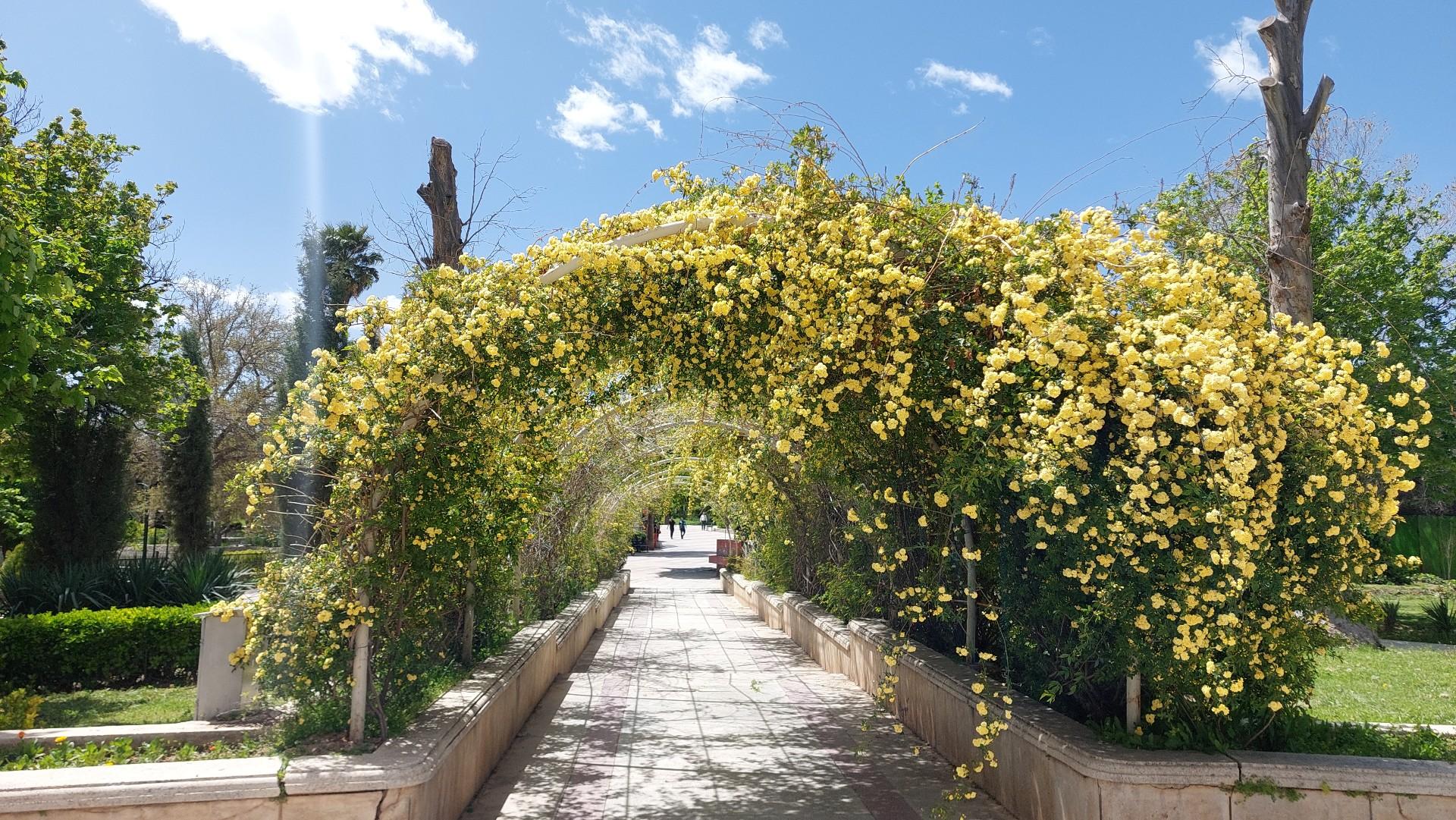 عکس بوستان آزادی