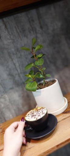 عکس قهوه و دخانیات کارن