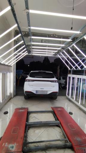 عکس کارشناسی رنگ امیر