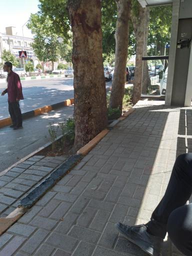 عکس  شهید صادقی 18