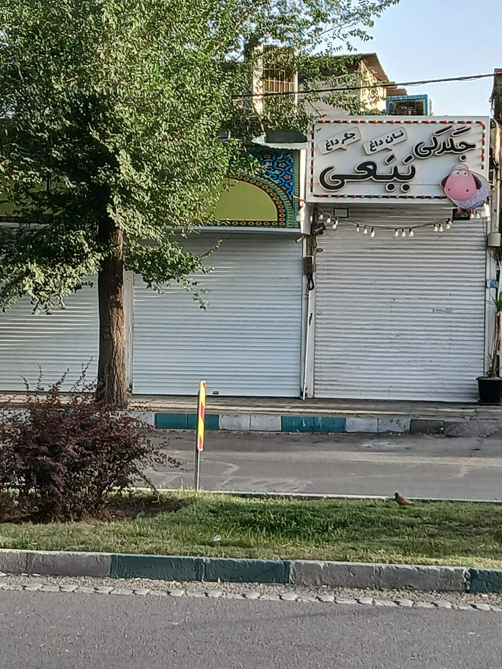 عکس جگرکی ببعی