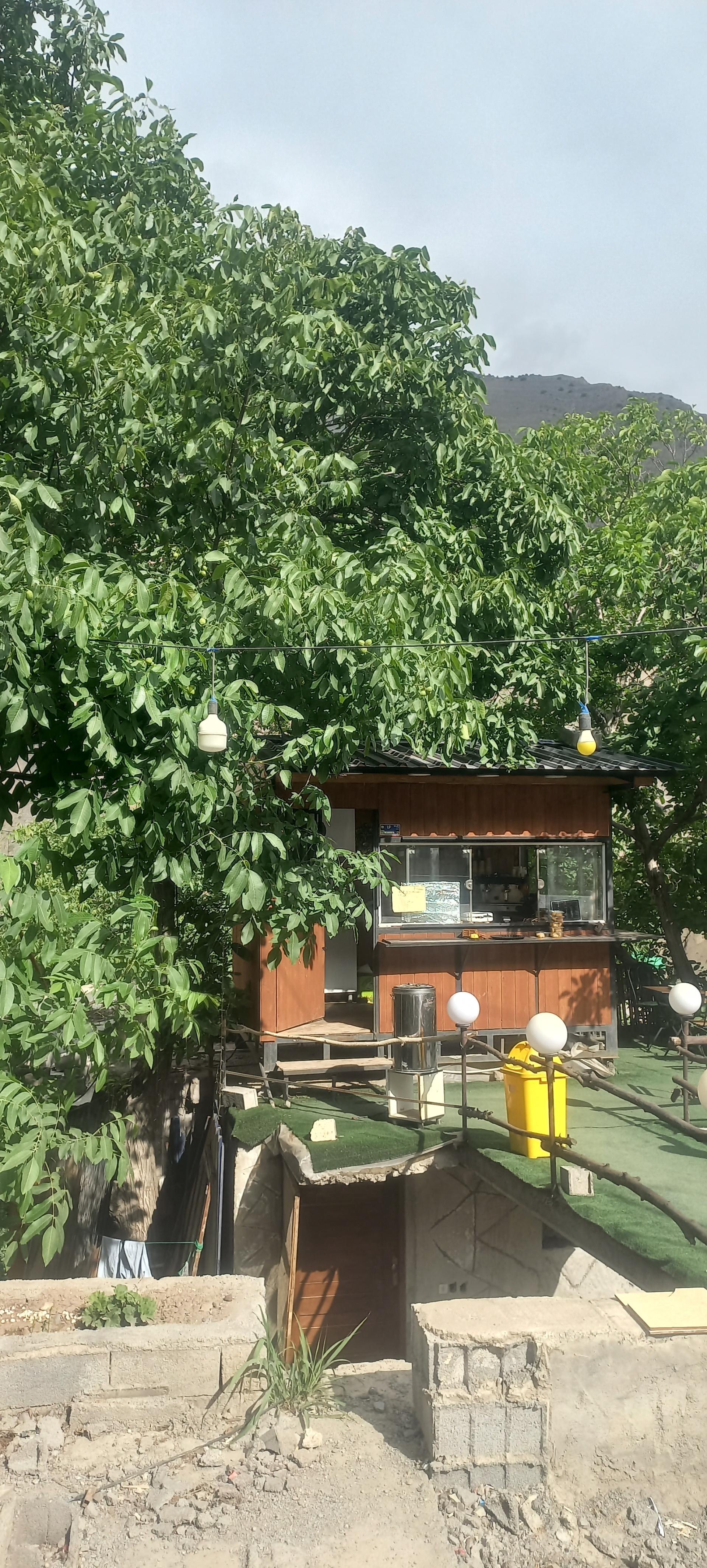 عکس کافه بایجان