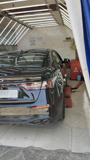 عکس کارشناسی رنگ امیر