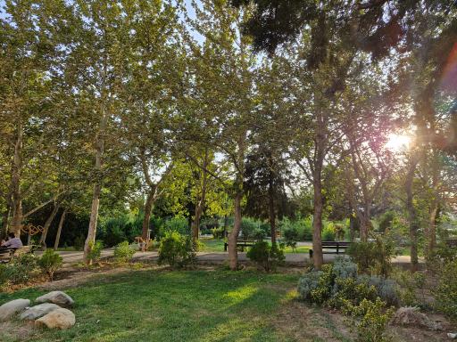 عکس بوستان سروناز