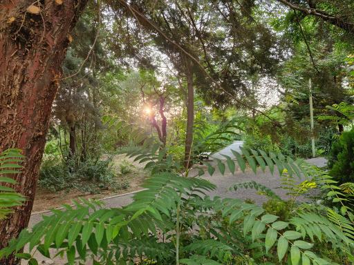 عکس بوستان سروناز