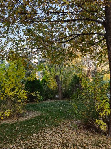 عکس بوستان سروناز