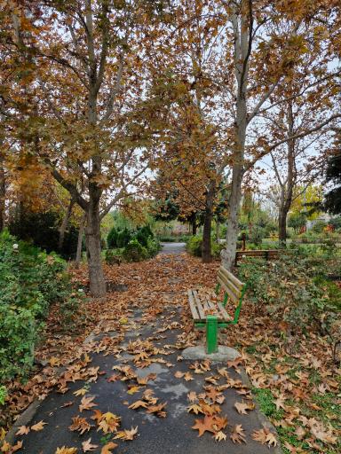 عکس بوستان سروناز