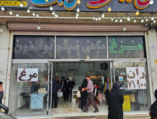 عکس مرغ و ماهی نقش جهان