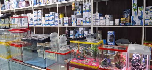 آکواریوم آرام