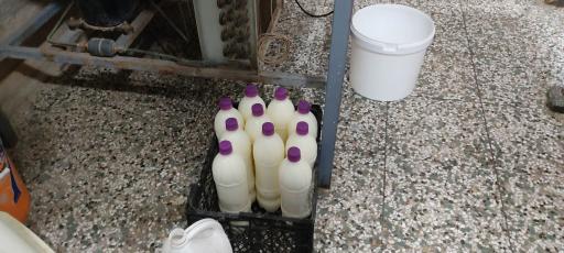 عکس شیر و ماست خیراندیش