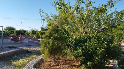 عکس بوستان امام حسین