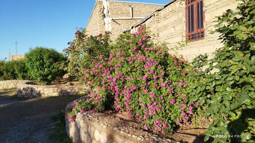 عکس بوستان امام حسین