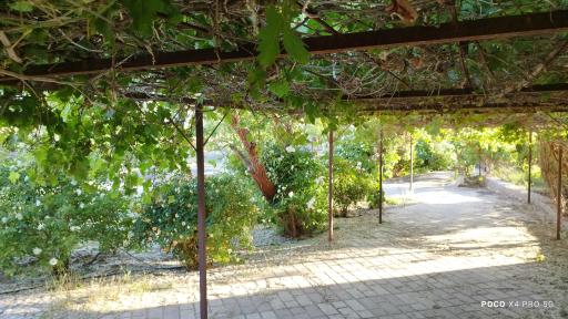 عکس بوستان امام حسین