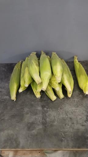 عکس مجموعه غذای آنیا 