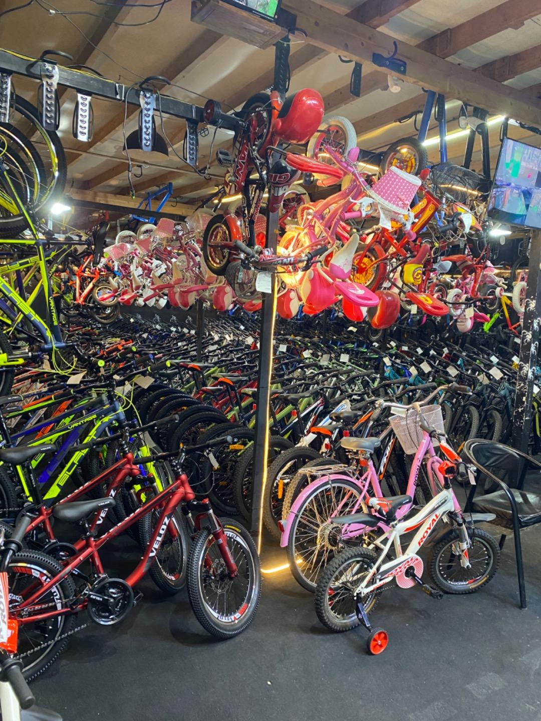 عکس نمایشگاه دوچرخه معراجی