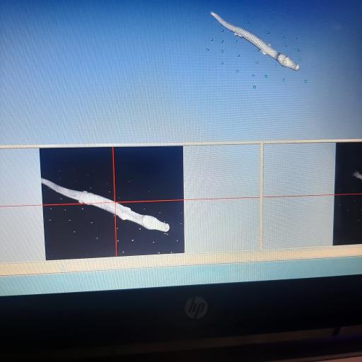 عکس دفتر طراحی سه بعدی مهدیلو