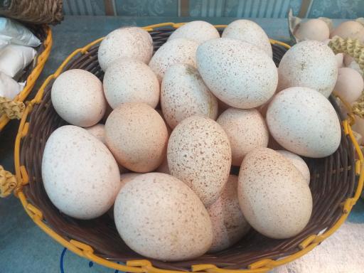 عکس فروشگاه و تولیدی لبنیات فتحی