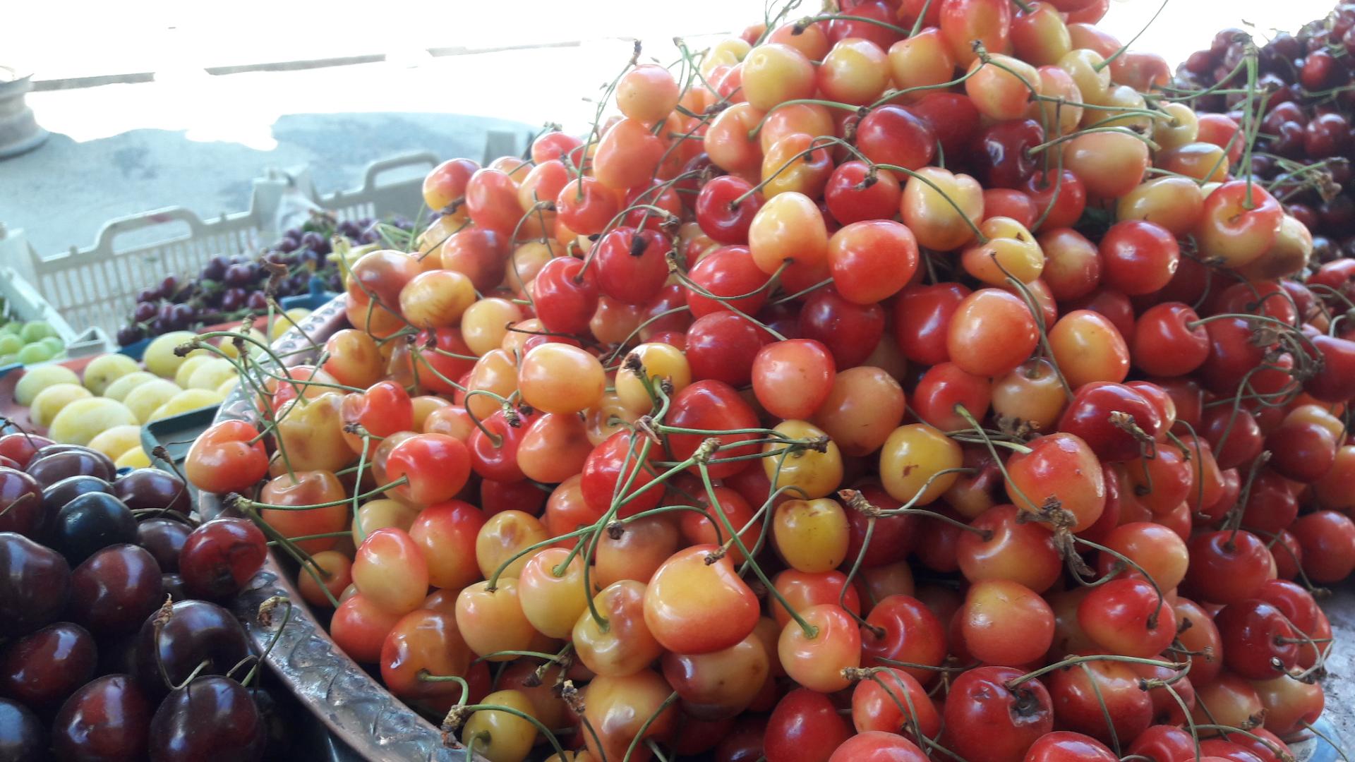 عکس سوپر میوه تک