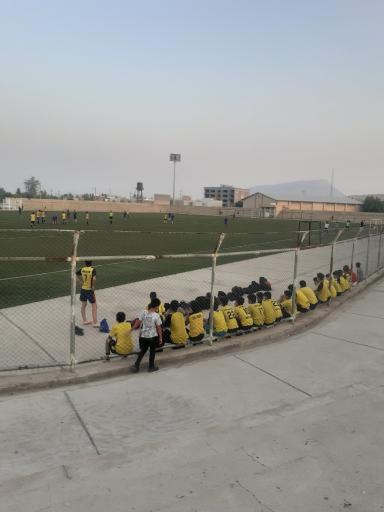 عکس زمین چمن ورزشگاه شهید بشارت 