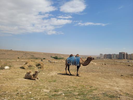 عکس ویلا دره