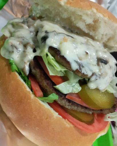 عکس پیتزا و ساندویچ رامتین