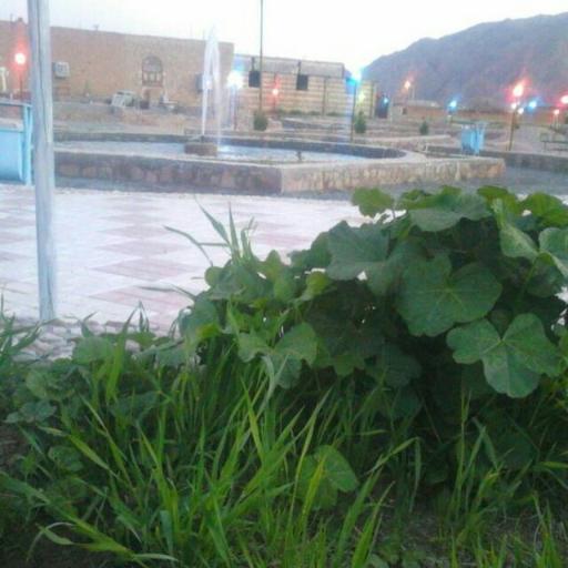 عکس بوستان امام حسین