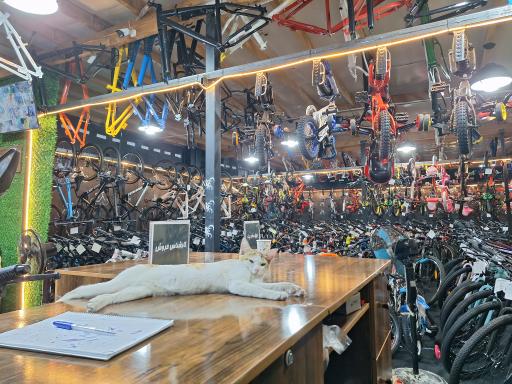 عکس نمایشگاه دوچرخه معراجی