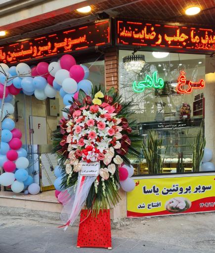 عکس پروتئین یاسا 