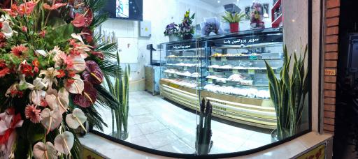 عکس پروتئین یاسا 