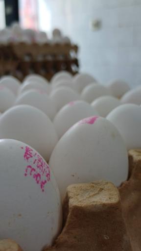 عکس سوپر پروتئین (مرغ فروشی فرشادنیا)