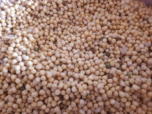 عکس فلافل فود ۱۲۸