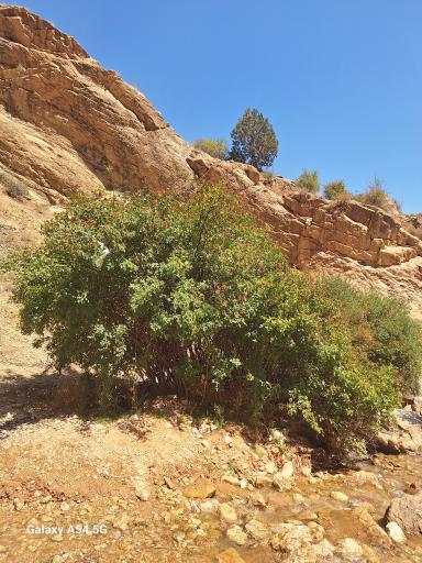 عکس آبشار تنگه داستان