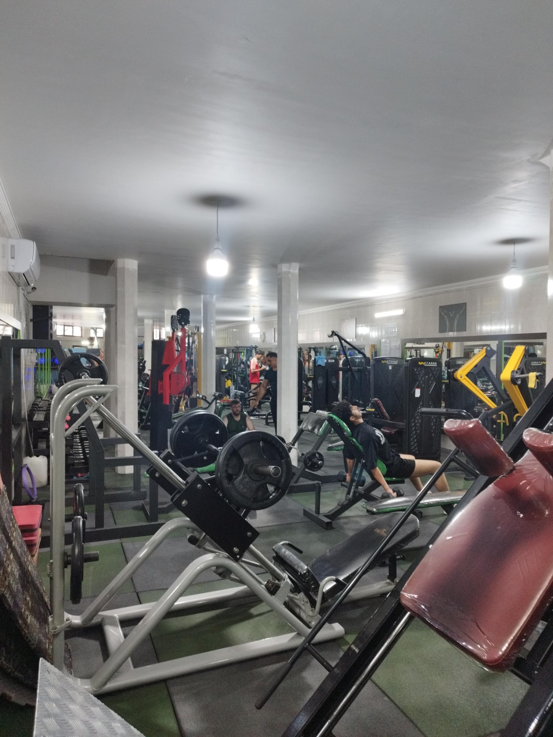 عکس باشگاه دیاکو