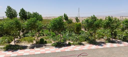 عکس باغ عادل