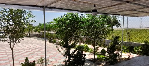عکس باغ عادل