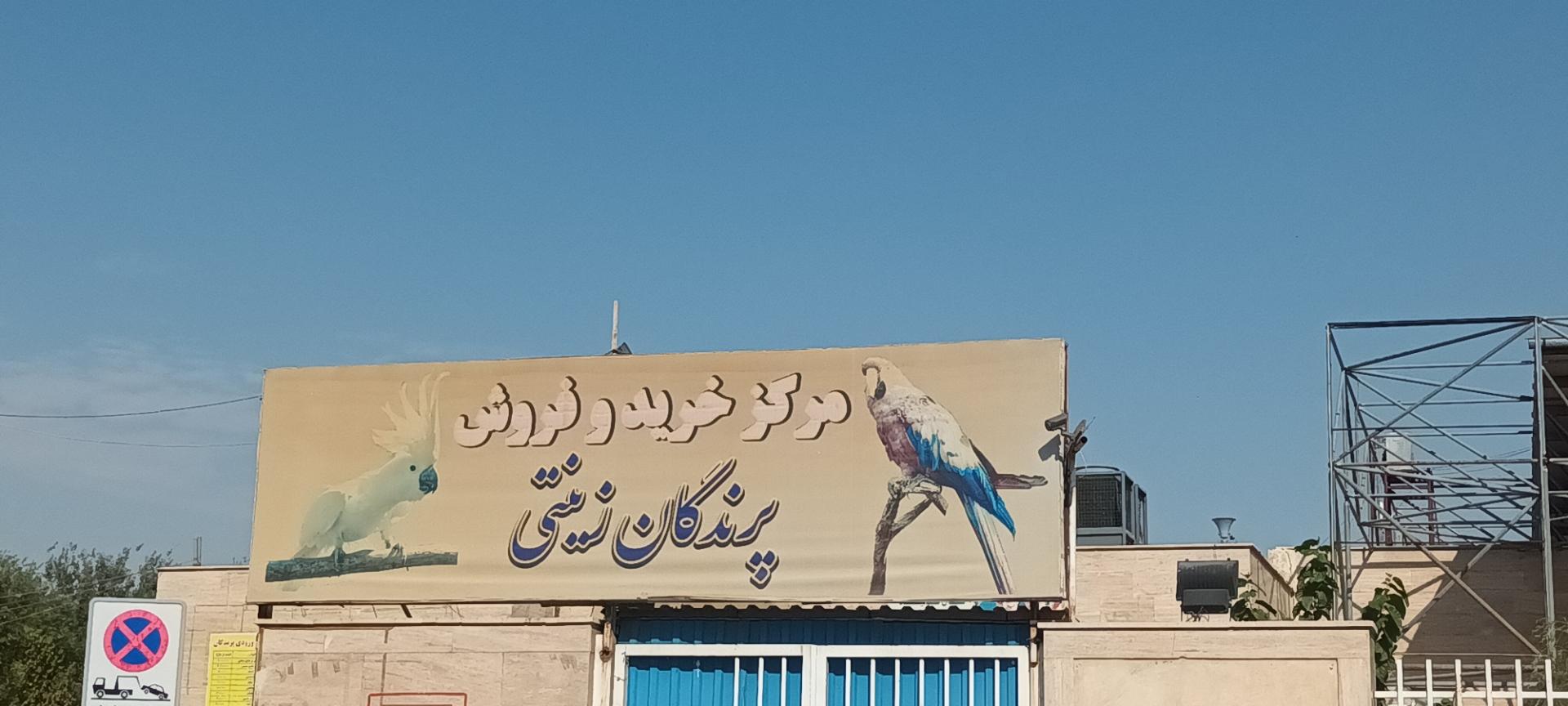 عکس بازارچه پرنده فروشان شهرداری ساوه