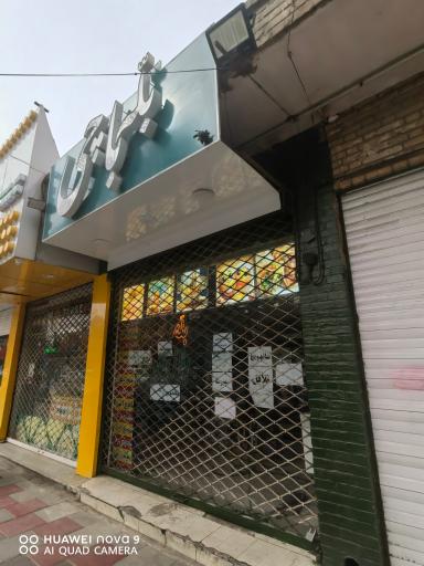 عکس بله باچی