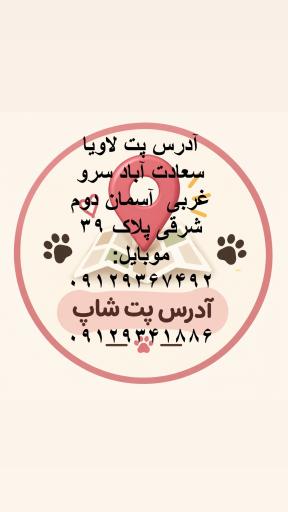 عکس پت شاپ پت لاویا